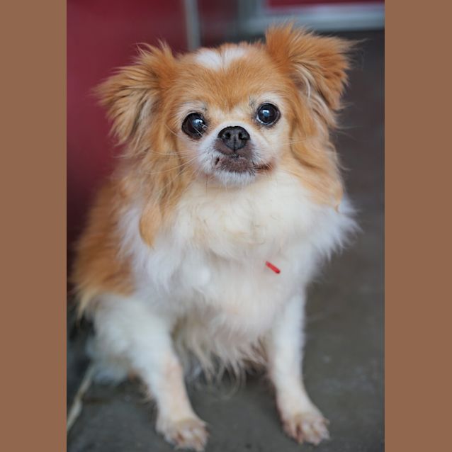 Photo of Buggs