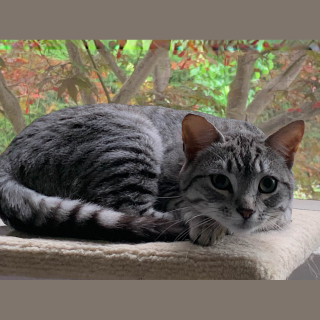 Photo of Sophie