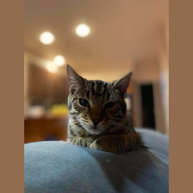 Photo of Macy