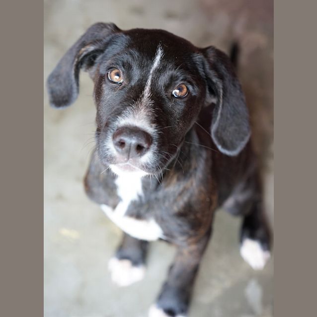 Photo of Rodney