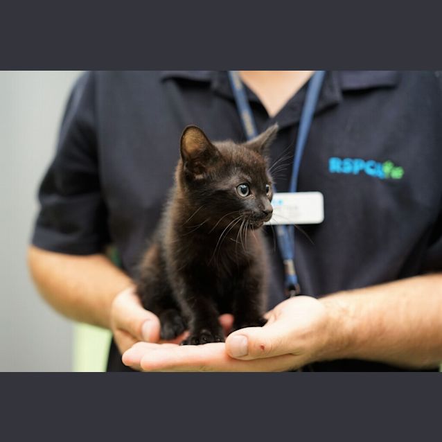 Photo of Bounty