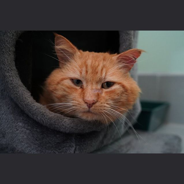 Photo of Jethro