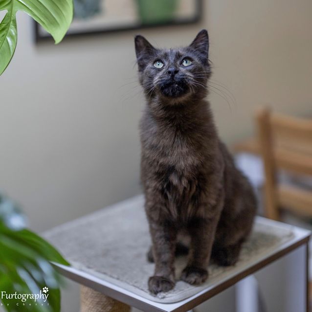Photo of Maxxy