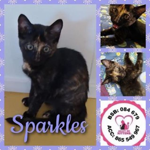 Photo of Sparkles (Amk 3010)