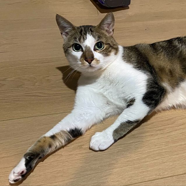 Photo of Oliver 