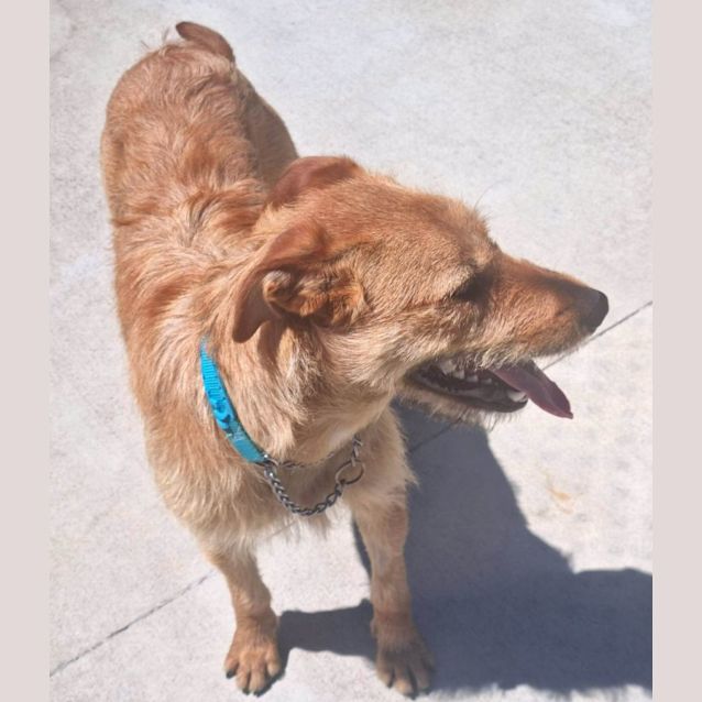 Photo of Max
