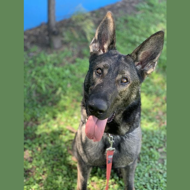 Photo of Argos