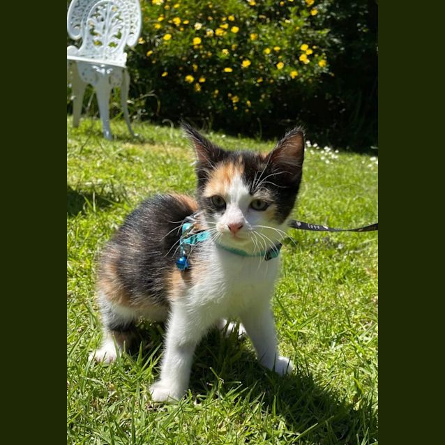 Photo of Bridget
