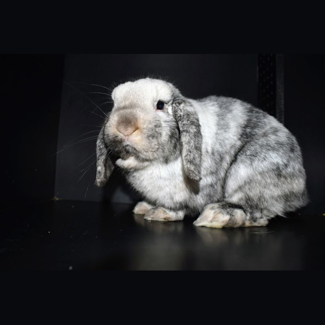 Photo of Storm