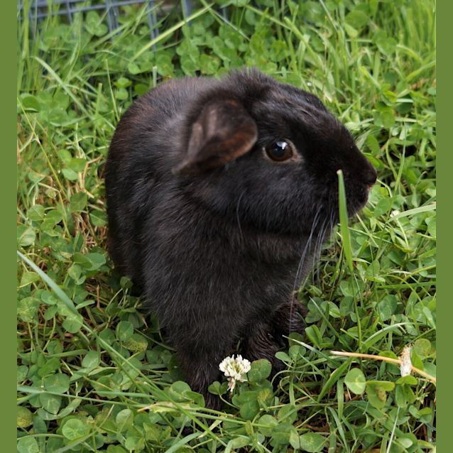 Photo of Tracey 