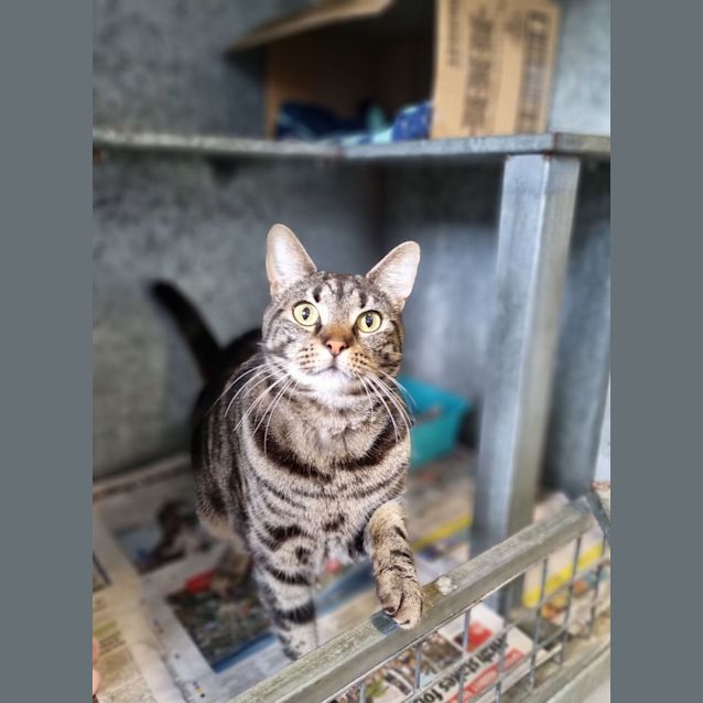 Photo of Jasper