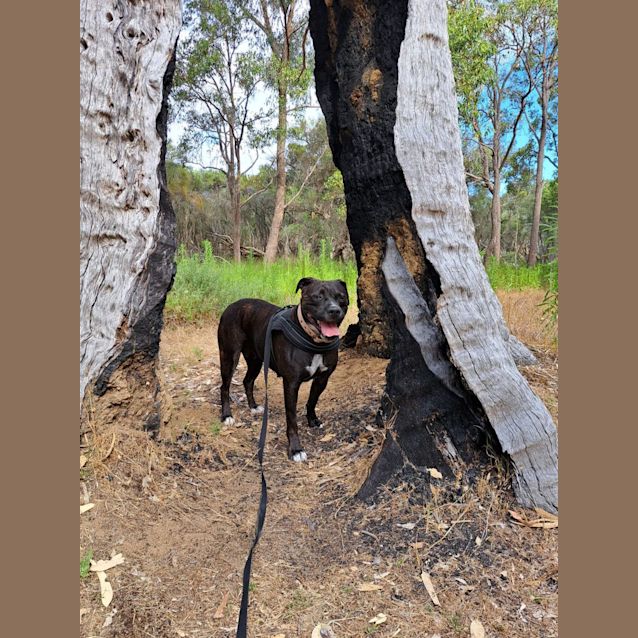 Photo of Savannah Dl2925