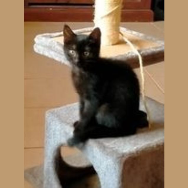 Photo of Tammy