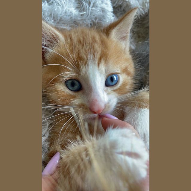 Photo of Max