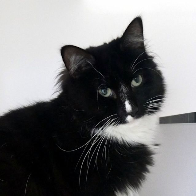 Photo of Blair Rsua010187