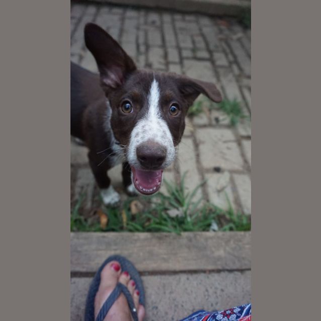 Photo of Duke