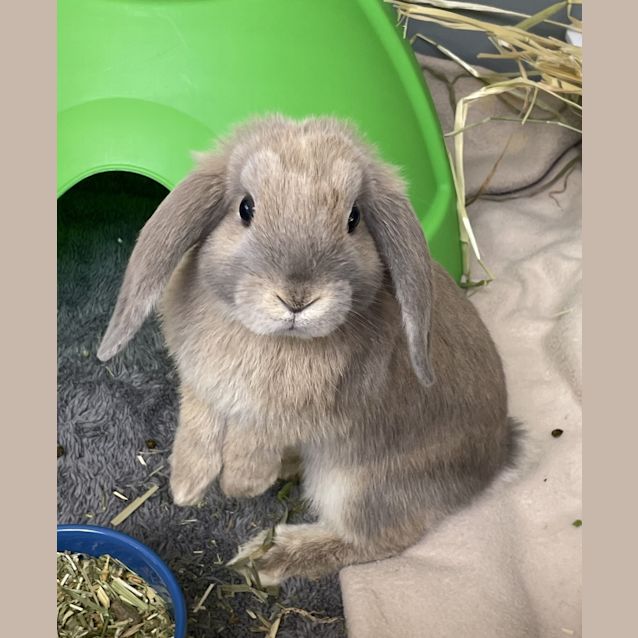 Photo of Harry