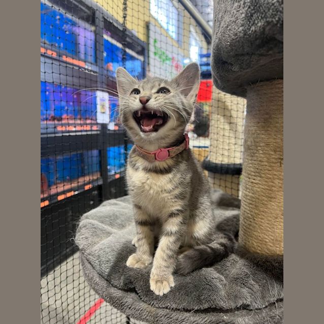 Photo of Yzma 💜