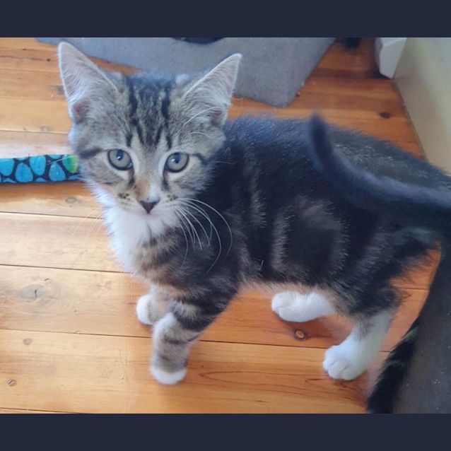 Photo of Pretty Addison