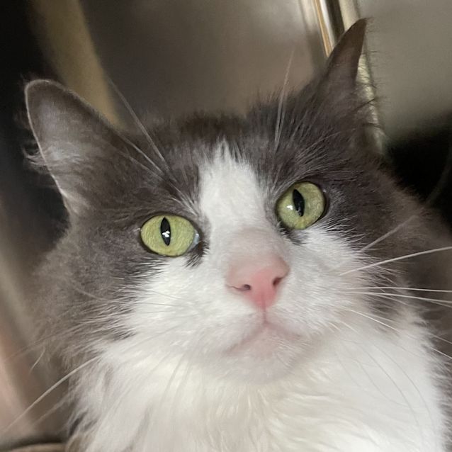 Photo of Winnie