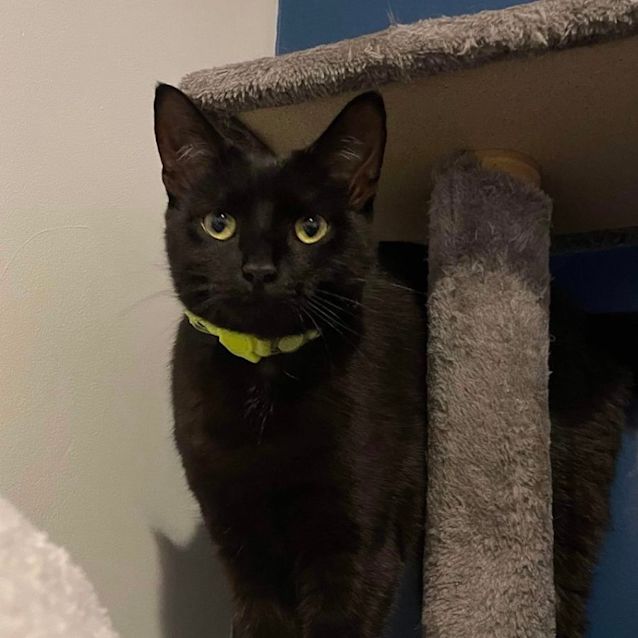 Photo of Marlow 🌻