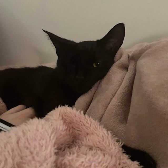 Photo of Marlow 🌻