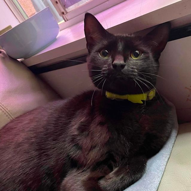 Photo of Marlow 🌻