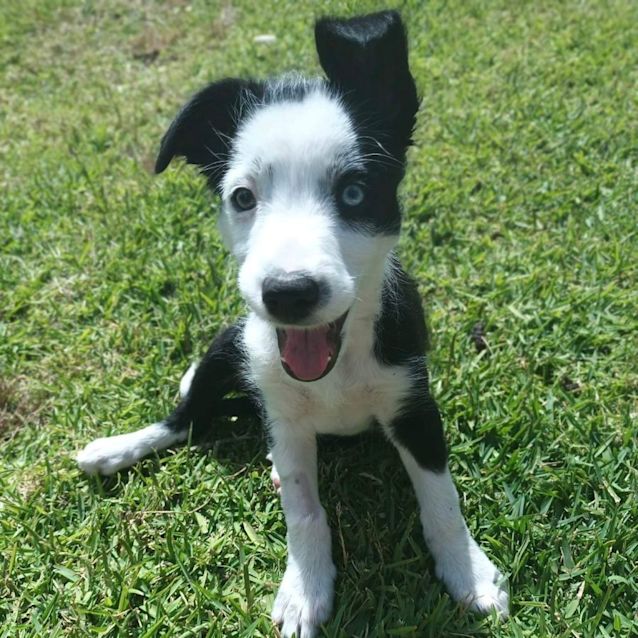 Photo of Thelma 🎾