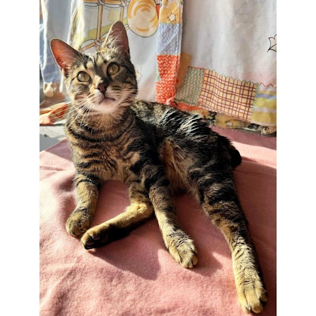 Photo of 7863   Marsha