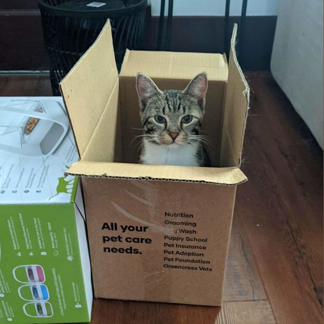 Photo of Olaf And Billy 