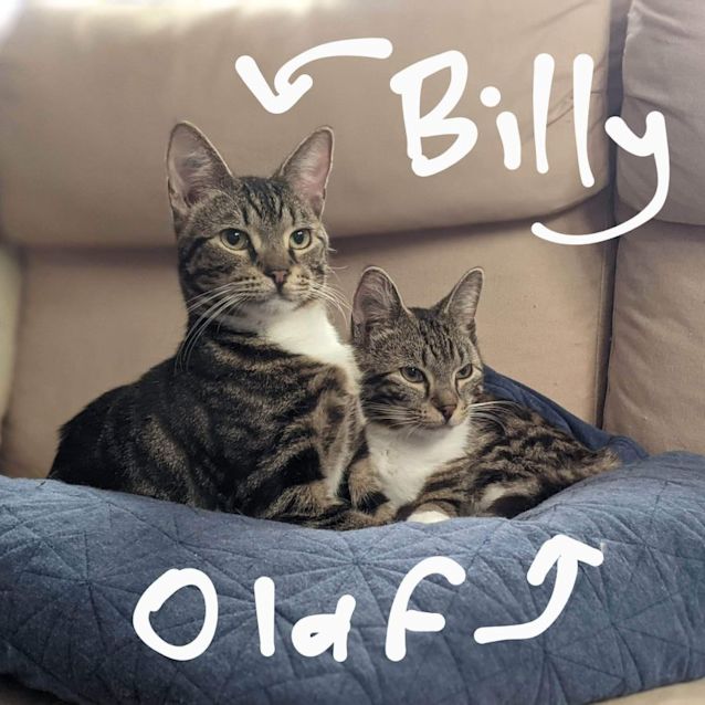 Photo of Olaf And Billy 
