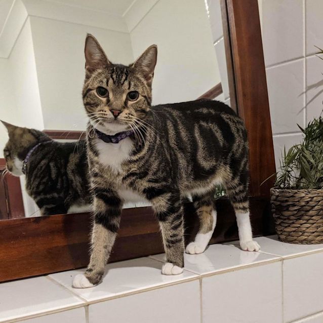 Photo of Olaf And Billy 