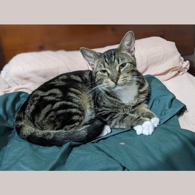 Photo of Olaf And Billy 