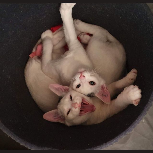 Photo of Mr T And Dottie