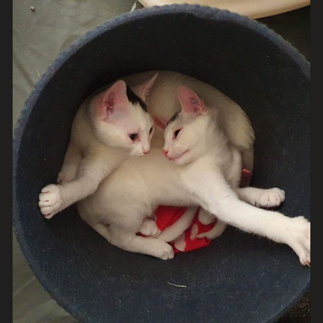 Photo of Mr T And Dottie