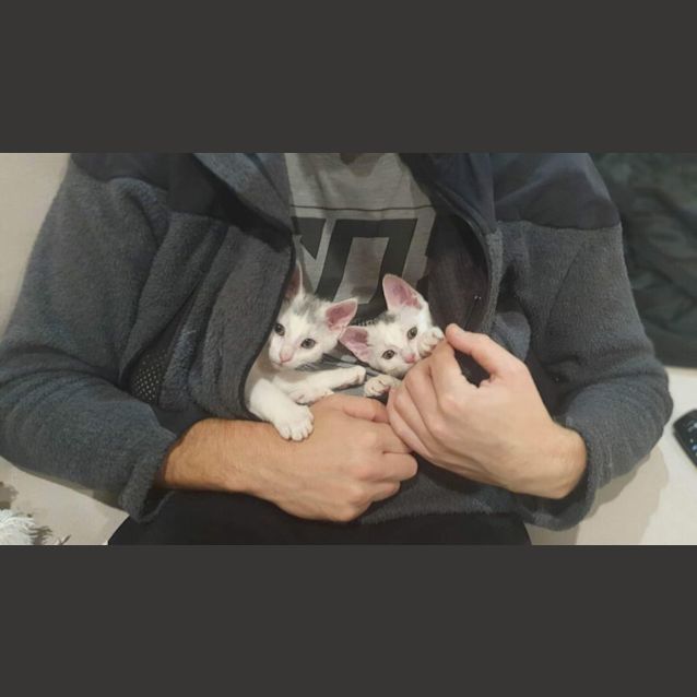 Photo of Mr T And Dottie