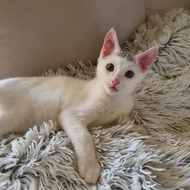 Photo of Mr T And Dottie