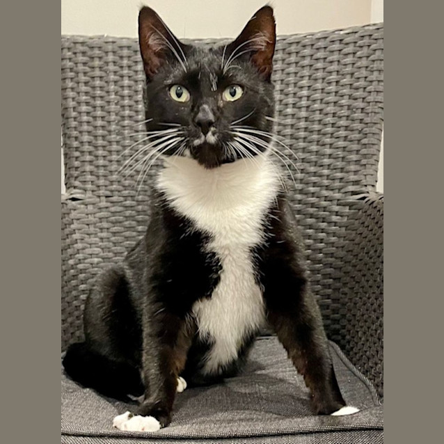 Photo of Buddy & Hector