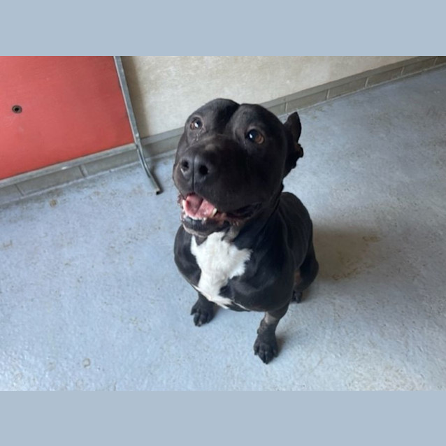 Photo of Lj (Imp No. 1727)