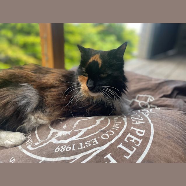 Photo of Cassie