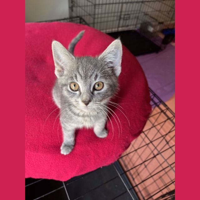 Photo of Nora   Located In Preston