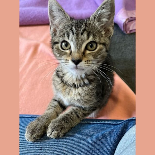 Photo of Ruby   Located In Preston