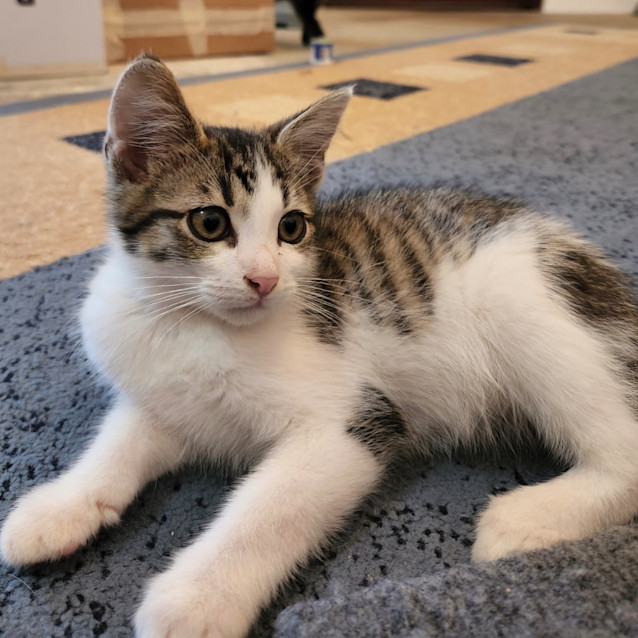 Photo of Squirt