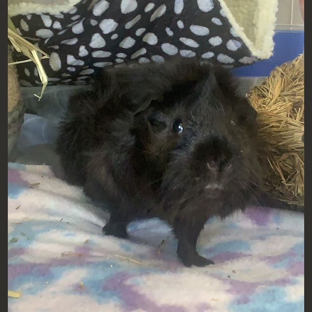 Photo of Cream