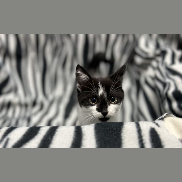 Photo of Saskia