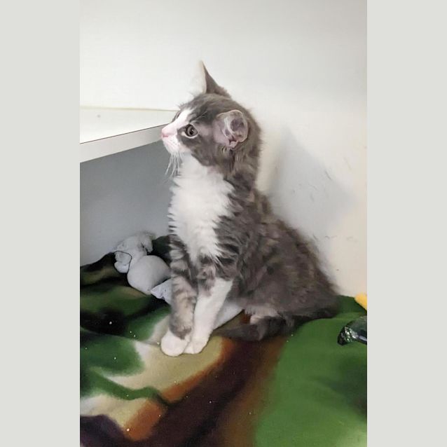 Photo of Hershey