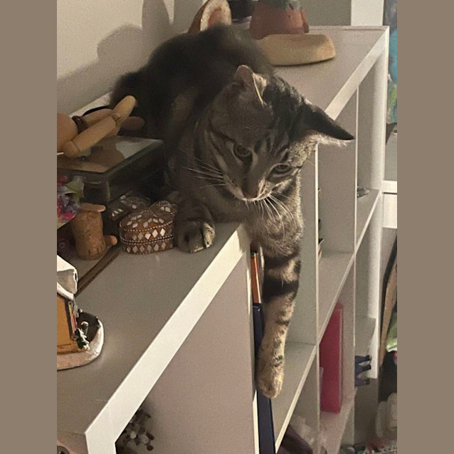 Photo of Meep