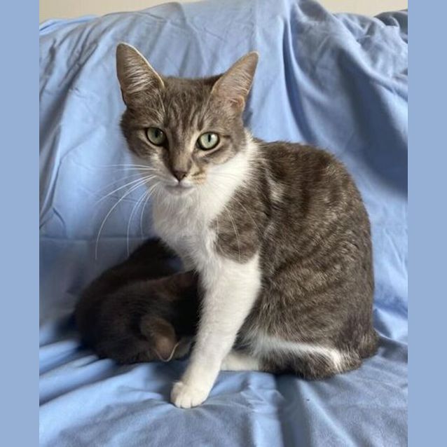 Photo of Snowy
