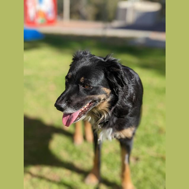 Photo of Roxy
