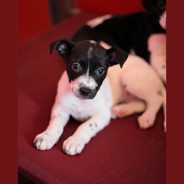 Photo of Dottie